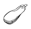 eggplant, hand drawn with a pen